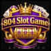 804Slot Game